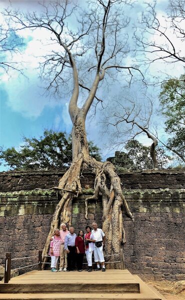 Ta Prohm temple, Angkor, Siem Reap, Cambodia - Feb 2018